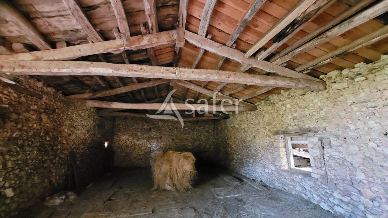 Other agricultural property  tarn