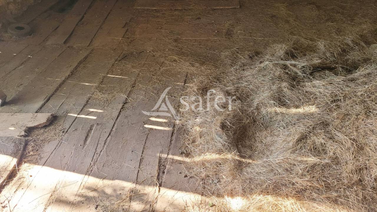 Other agricultural property  tarn