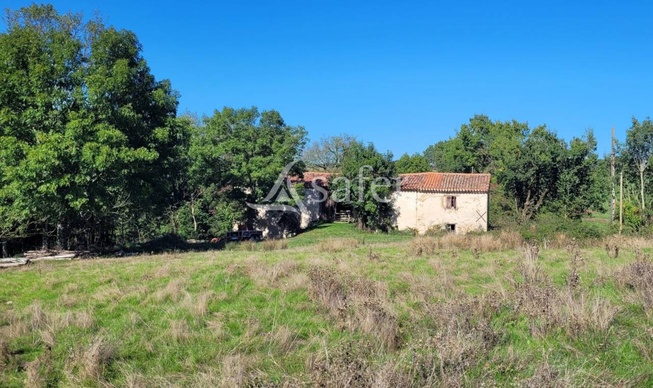 Other agricultural property  tarn