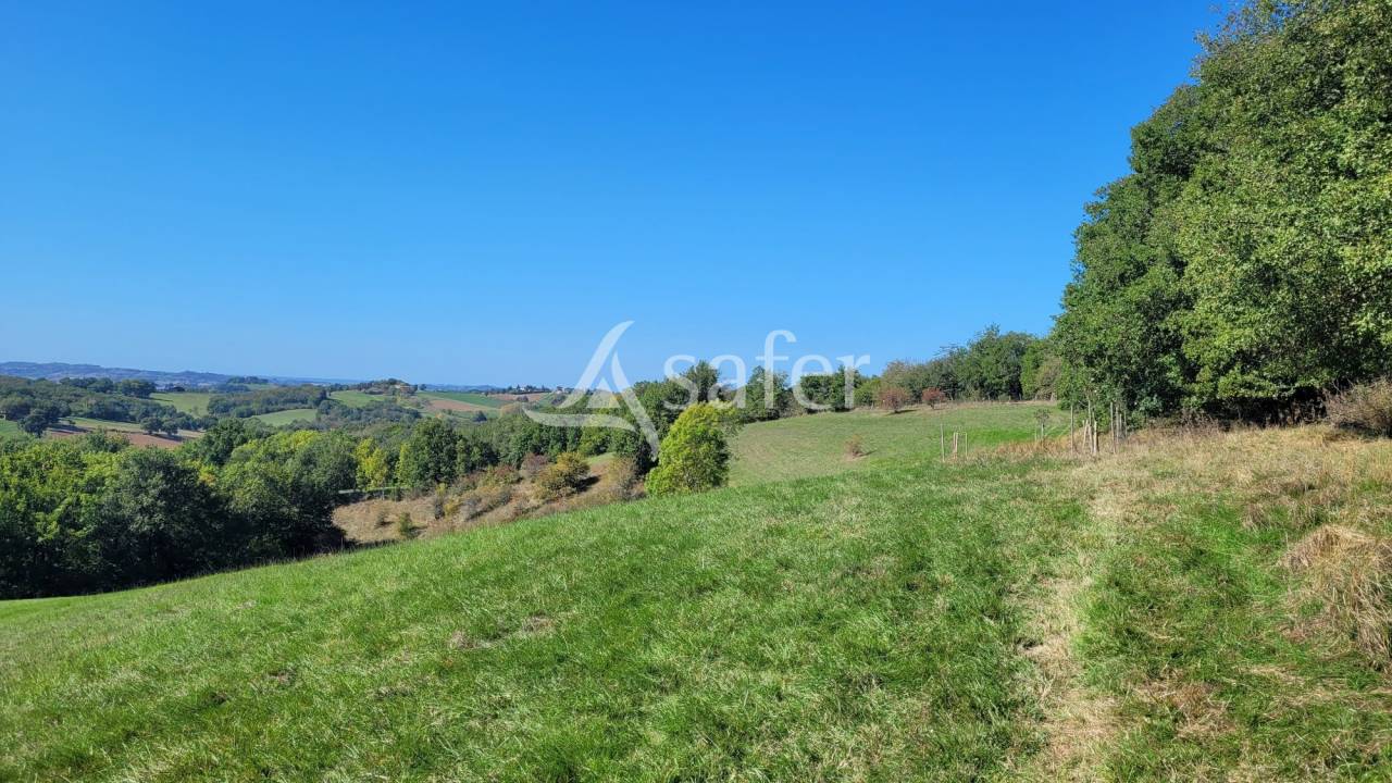 Other agricultural property  tarn