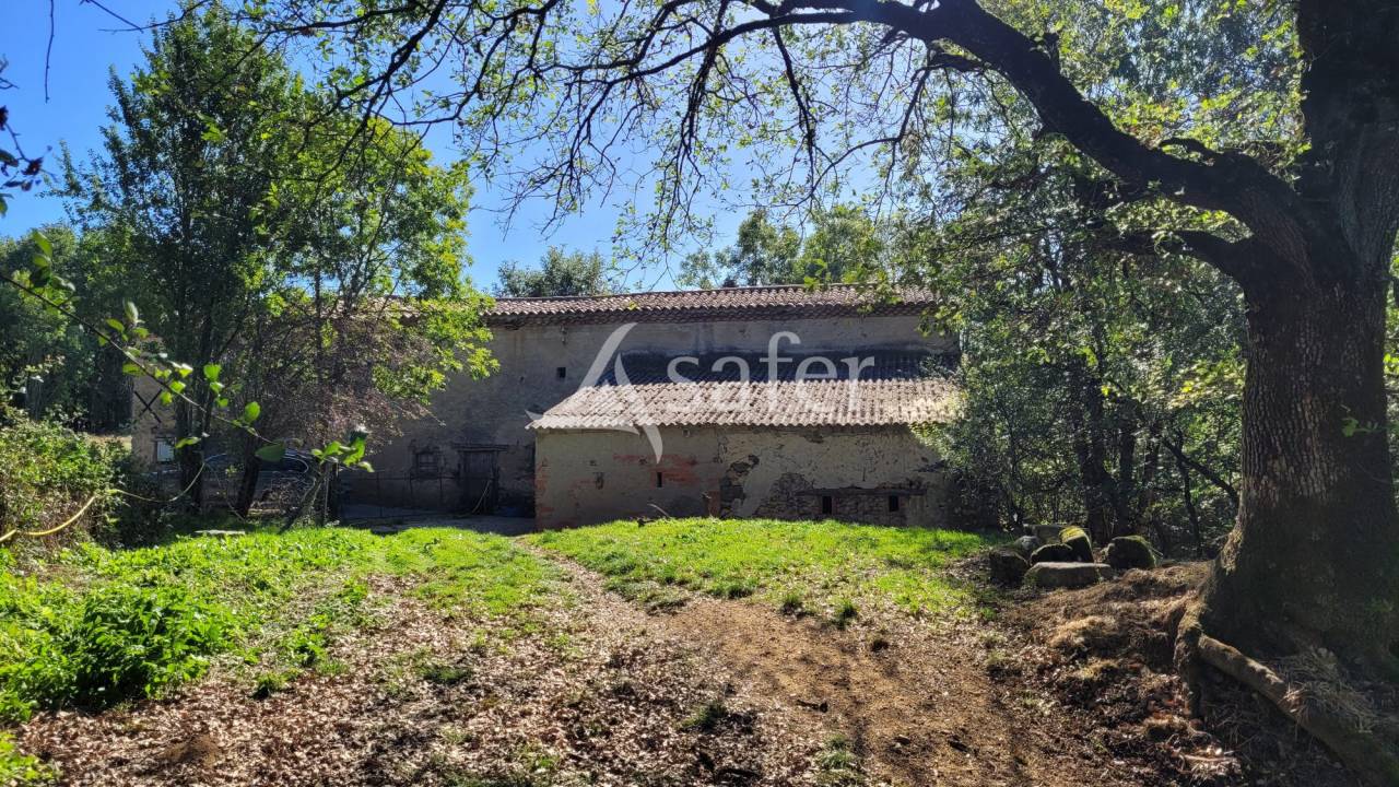 Other agricultural property  tarn