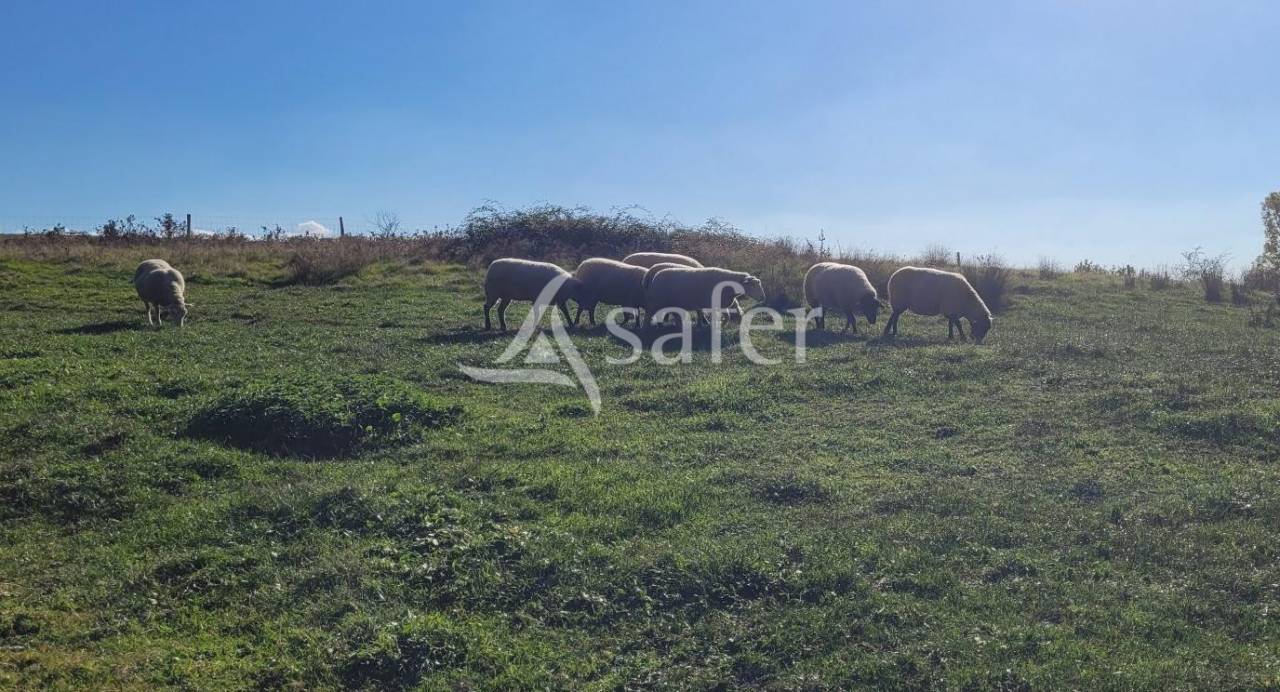 Other agricultural property  tarn