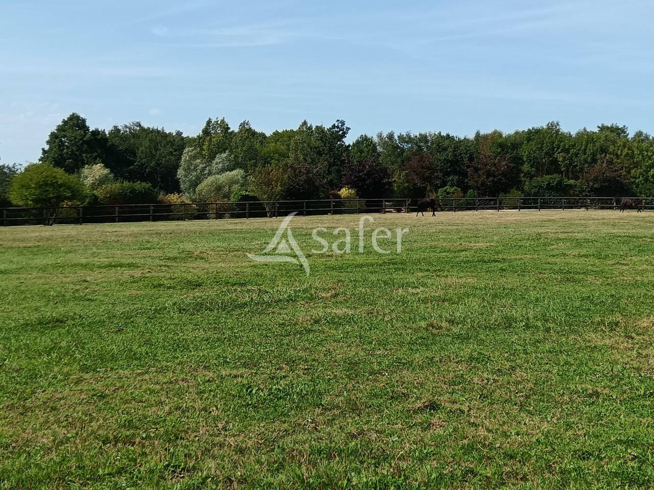 Equestrian property  Calvados