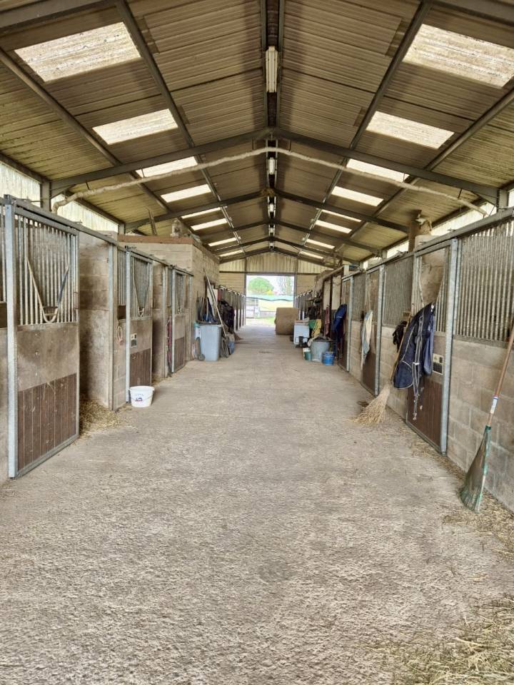 Livery yard  Seine-et-Marne