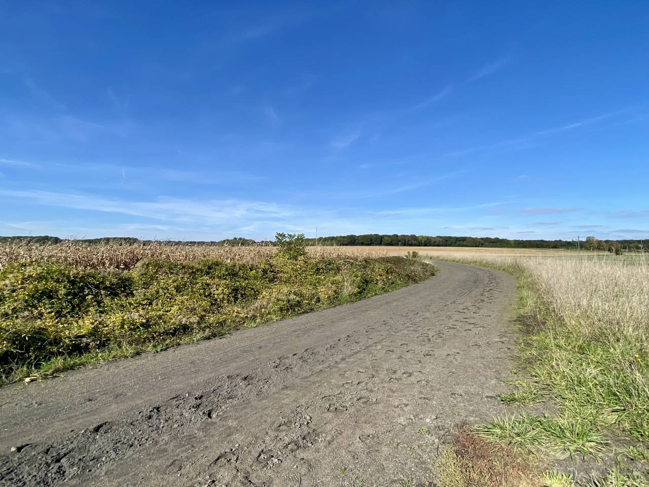 Livery yard  Seine-et-Marne