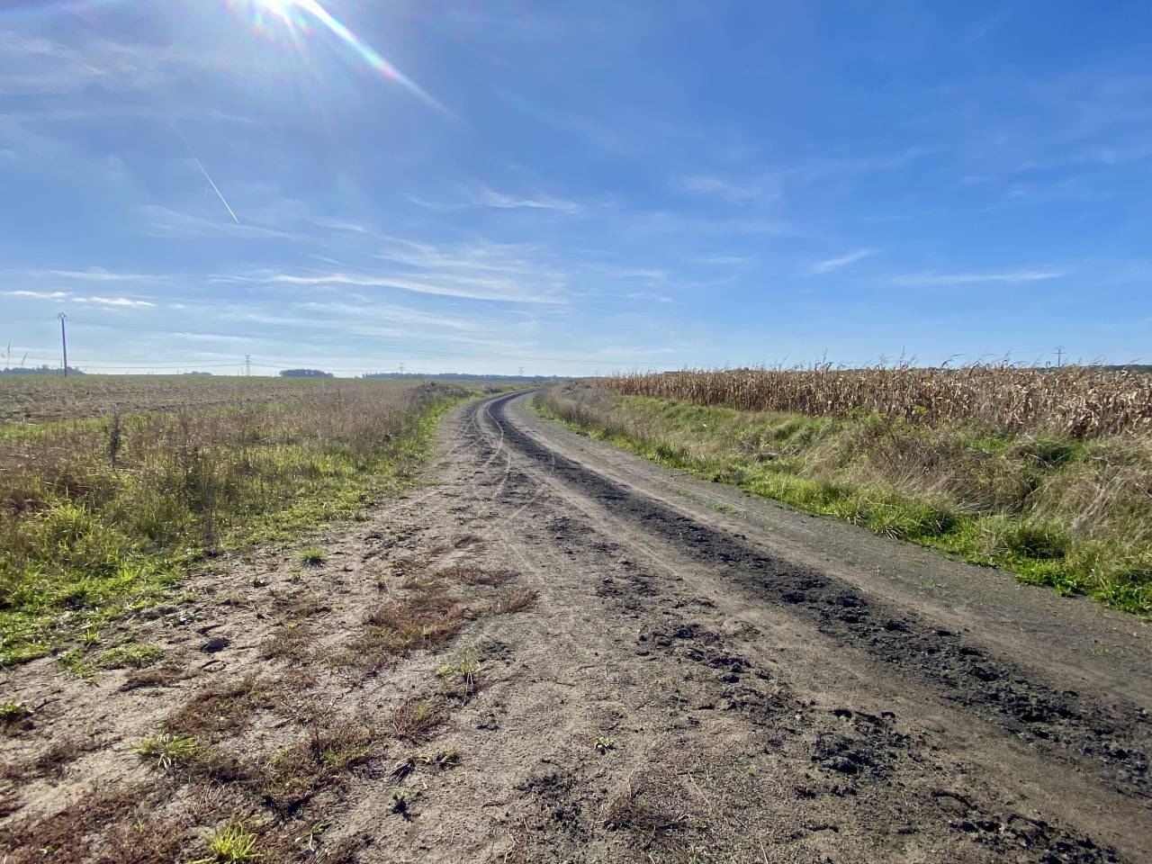 Livery yard  Seine-et-Marne