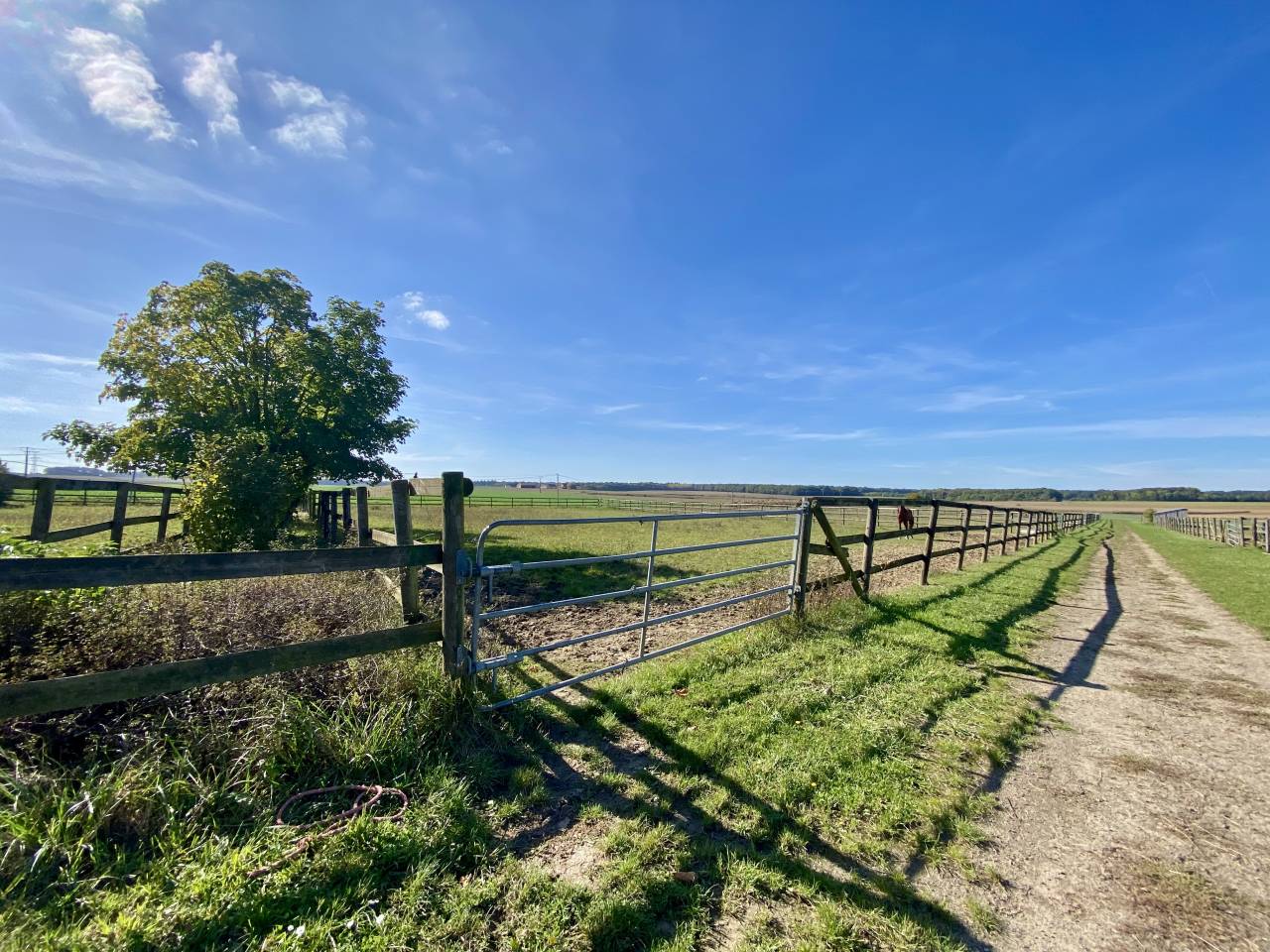Livery yard  Seine-et-Marne
