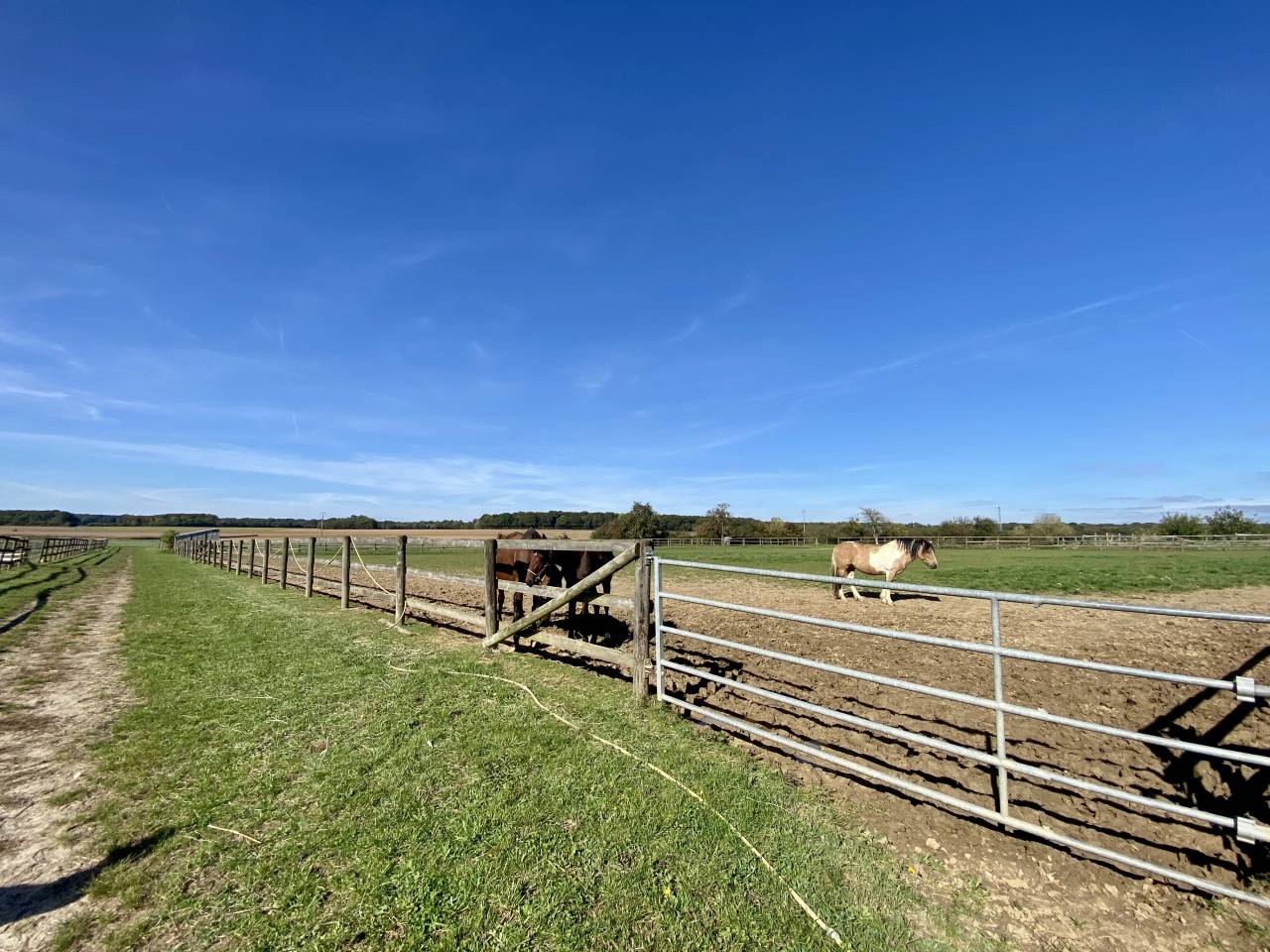 Livery yard  Seine-et-Marne