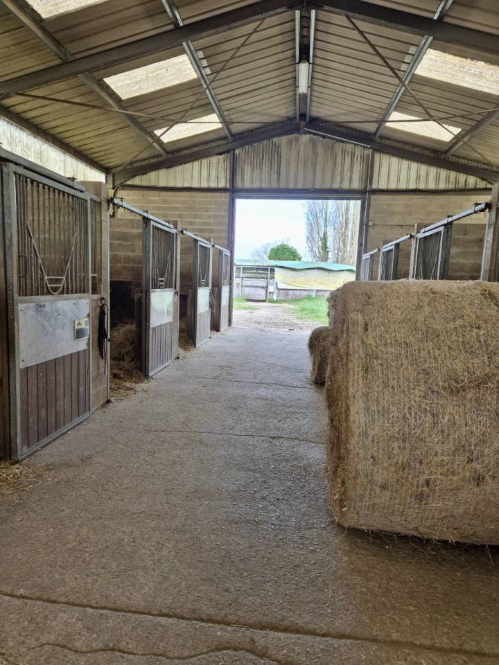 Livery yard  Seine-et-Marne