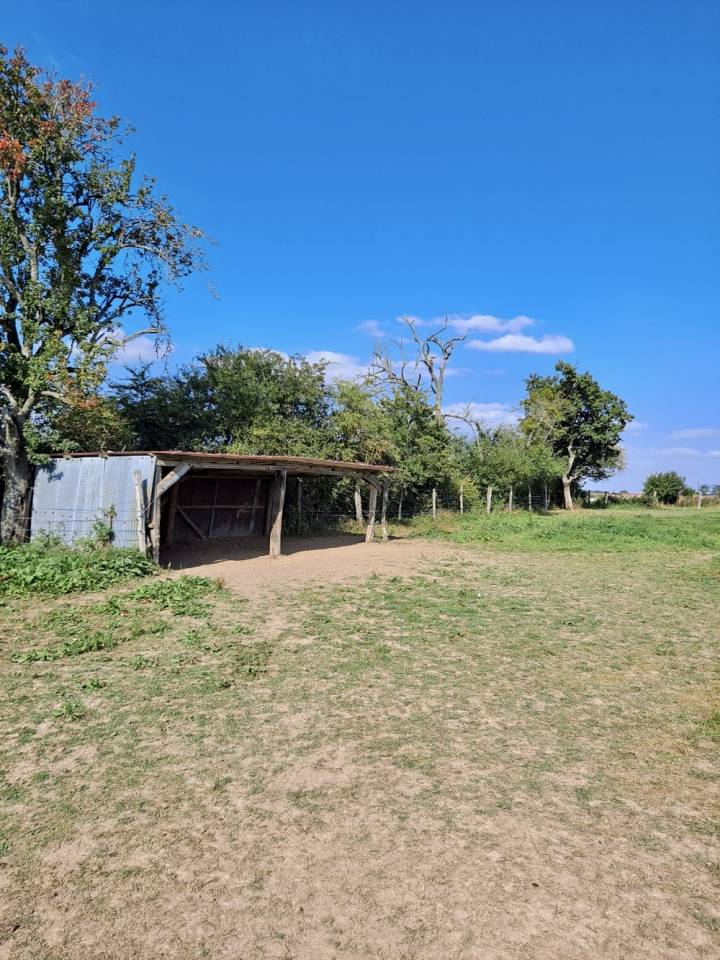 Livery yard  Seine-et-Marne