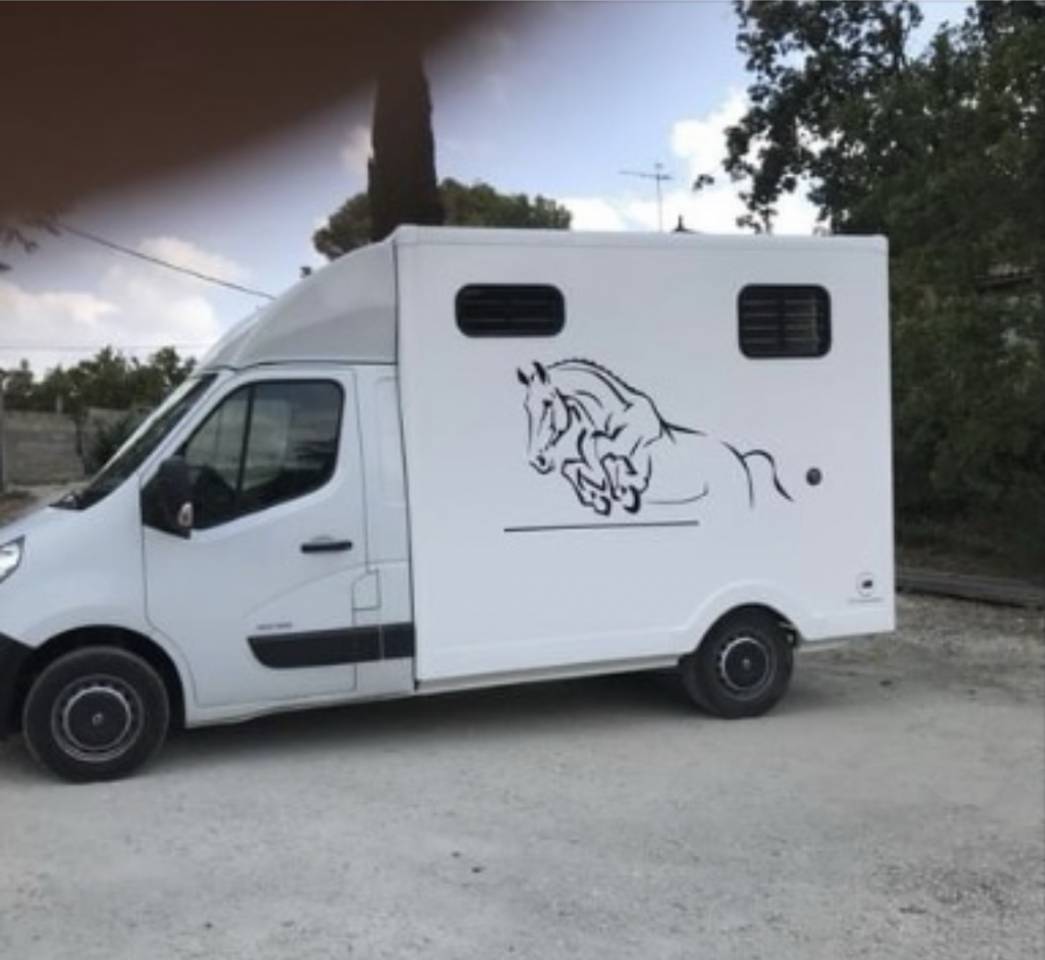 Horsebox HGV Renault Master 2013 Used