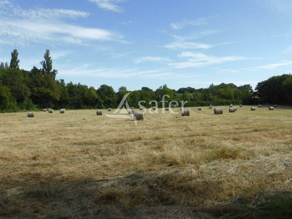 Other country property  Sa&ocirc;ne-et-Loire