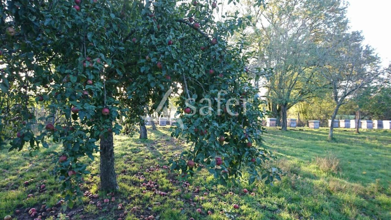 Other country property  Sa&ocirc;ne-et-Loire