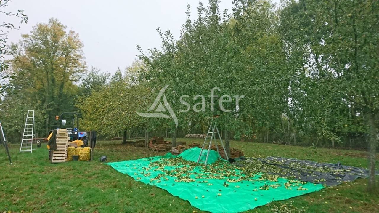 Other country property  Sa&ocirc;ne-et-Loire