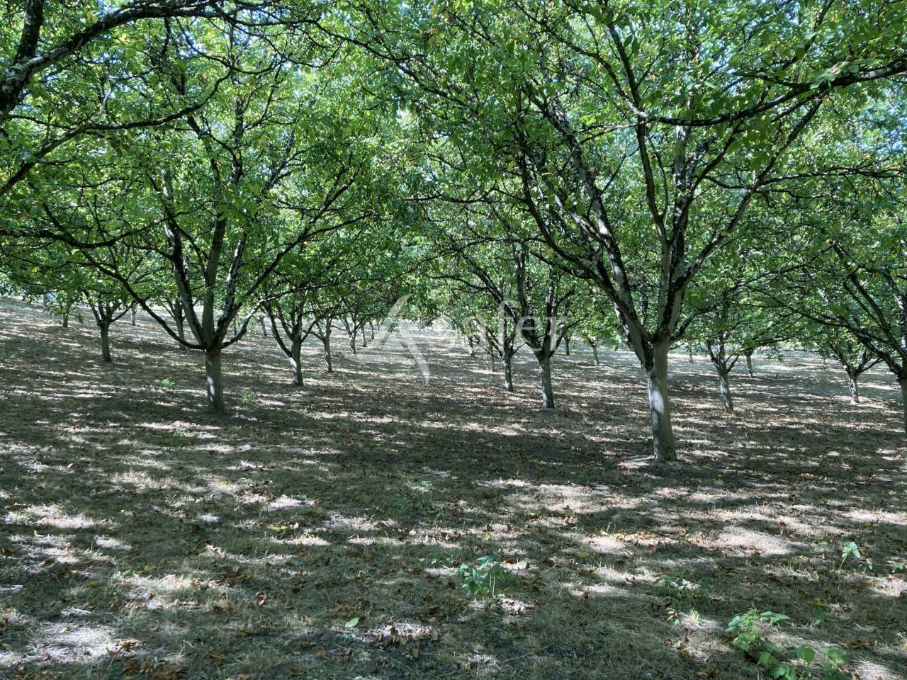 Other agricultural property  Lot-et-Garonne