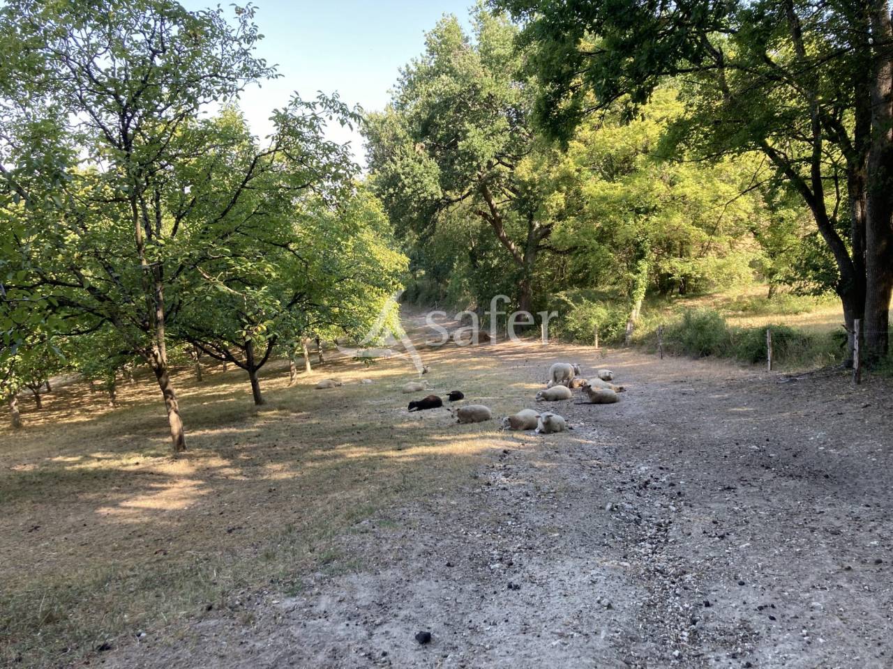 Other agricultural property  Lot-et-Garonne