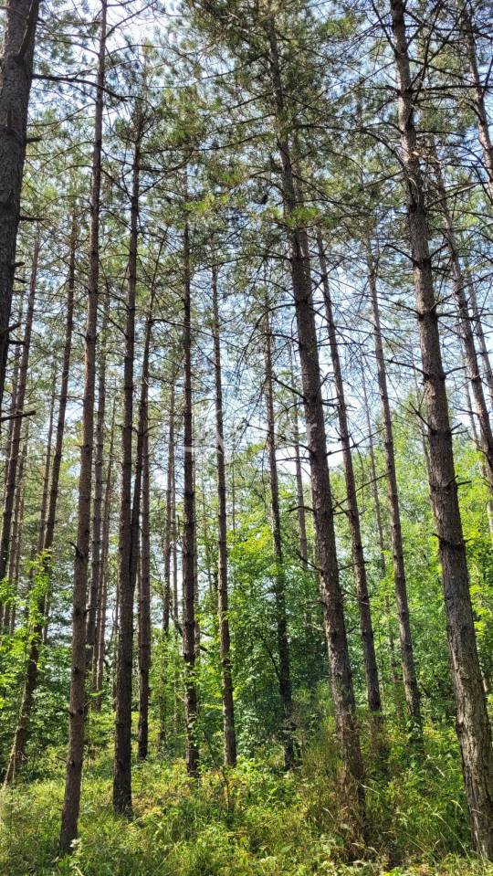 Other country property  tarn