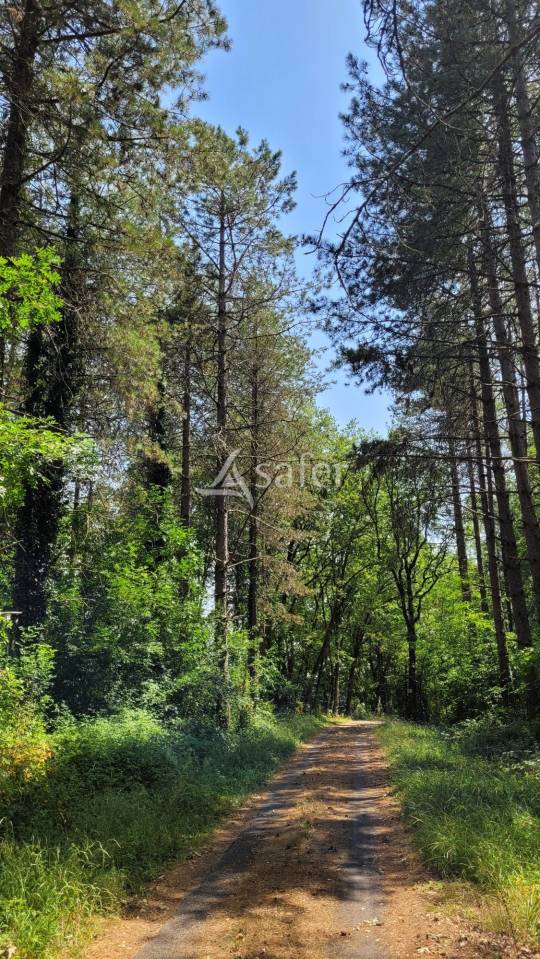 Other country property  tarn