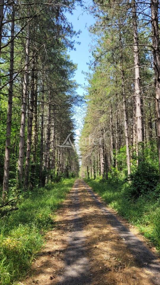 Other country property  tarn