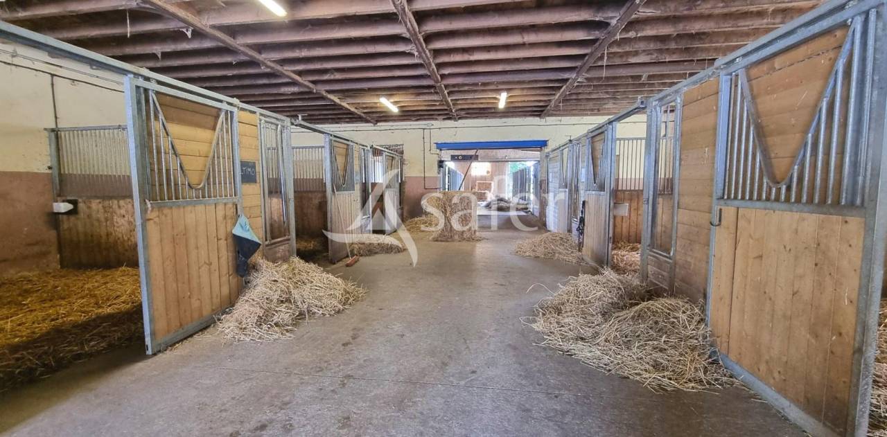 Equestrian property  Aveyron