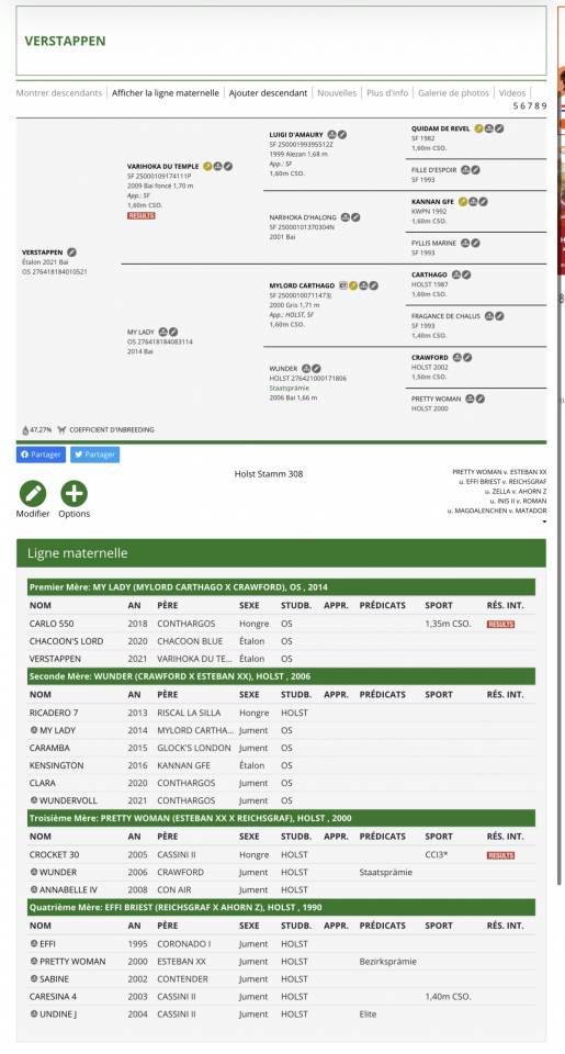 Entire Oldenburg For sale 2021 Bay