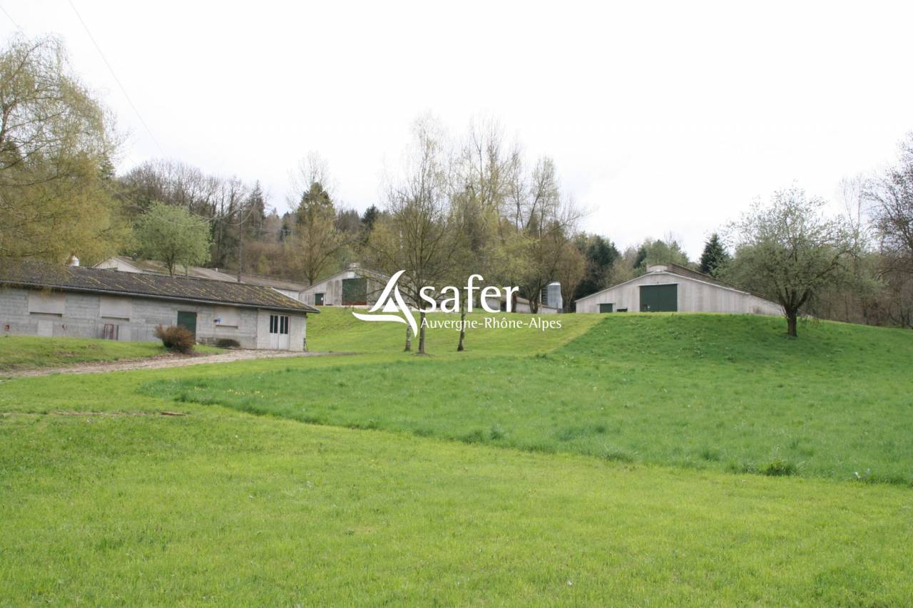 Poultry farm  Savoie
