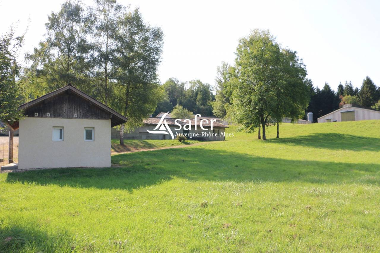 Poultry farm  Savoie