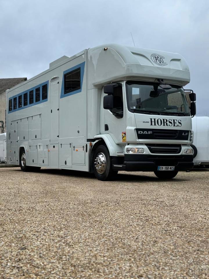 Horsebox NON-HGV Daf CONCEPTPGO 7  2013 Used