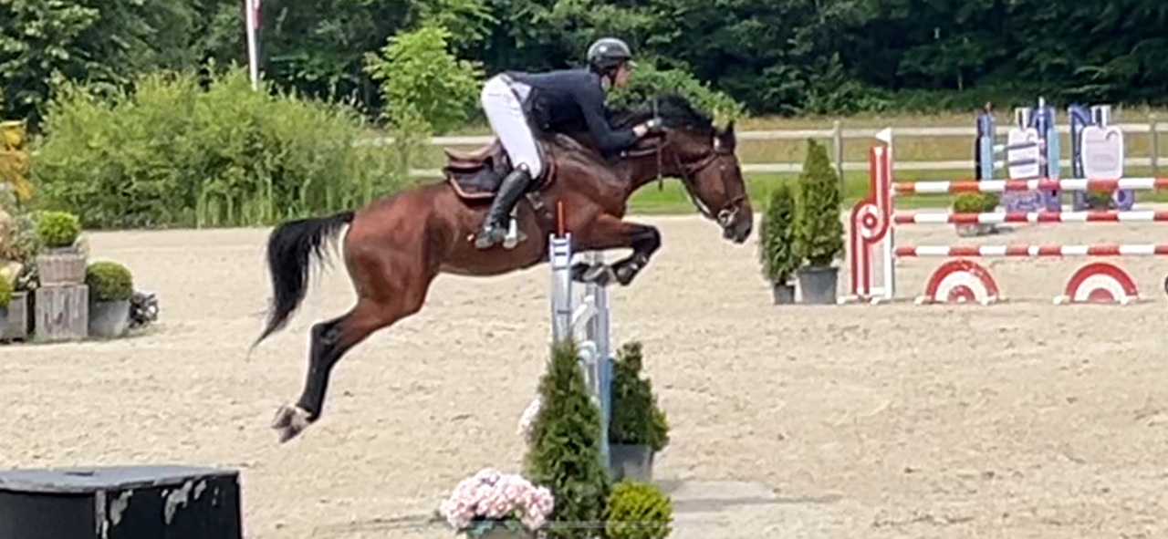Rider, Showjumping - Other contract Other - Calvados France