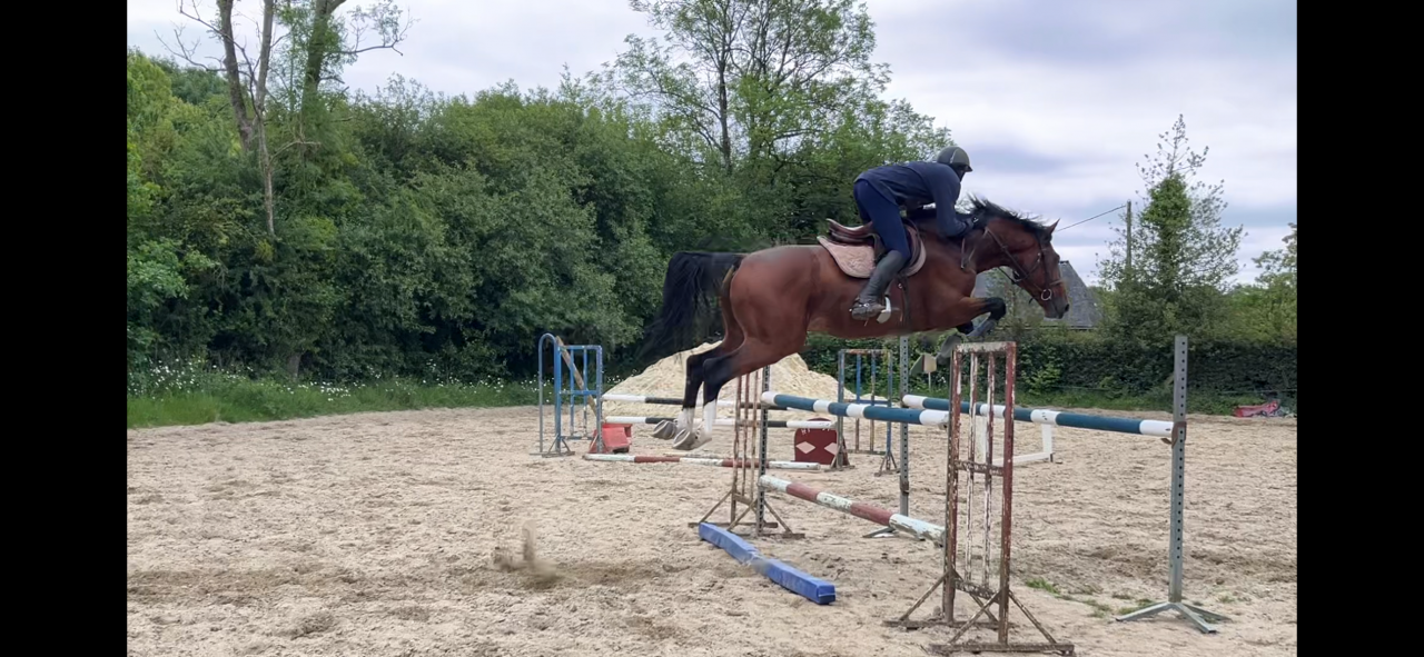 Rider, Showjumping - Other contract Other - Calvados France