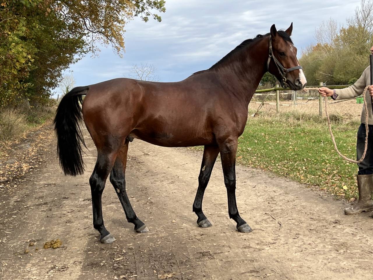 Working student - Intern Half time - Calvados France