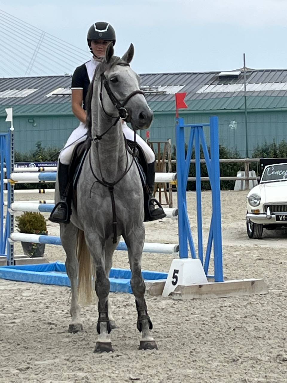 Working student - Intern Half time - Calvados France