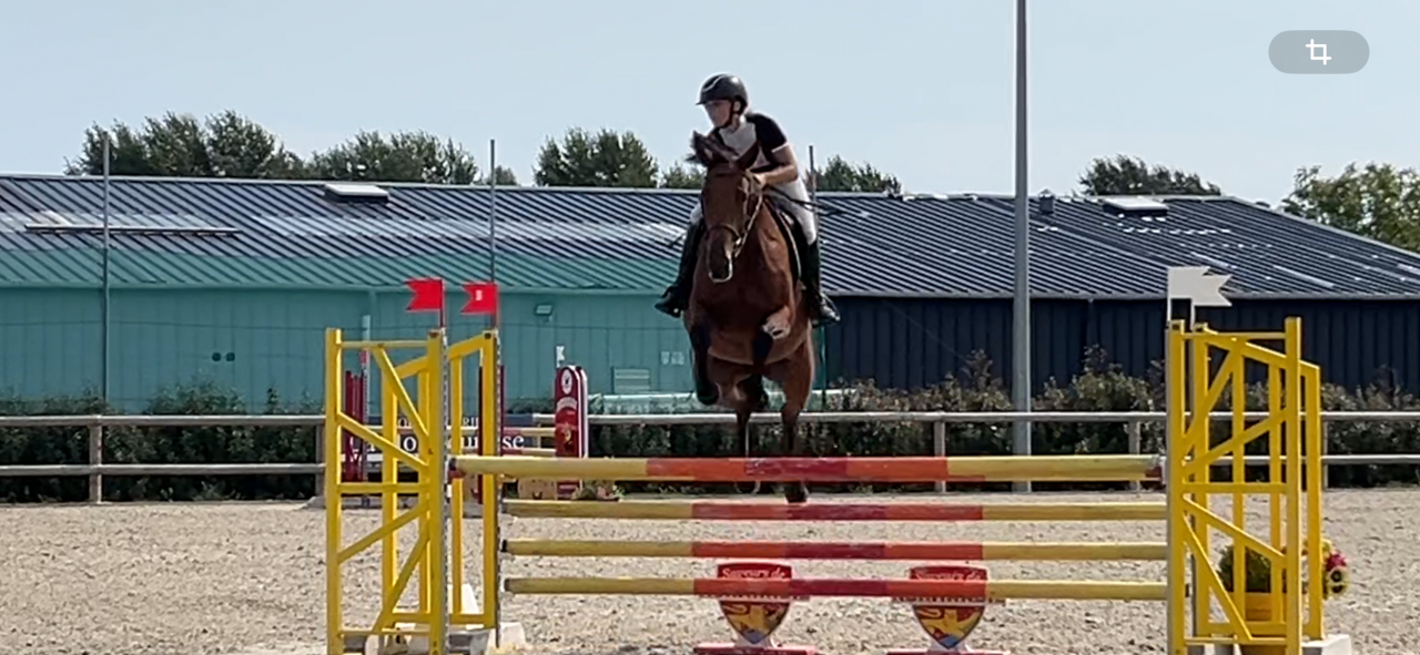 Working student - Intern Half time - Calvados France