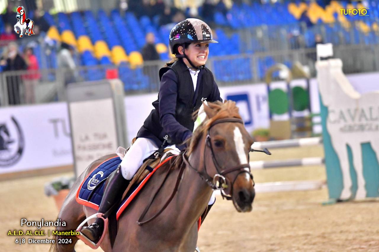 Mare Other Pony Breed For sale 2009 Liver chestnut