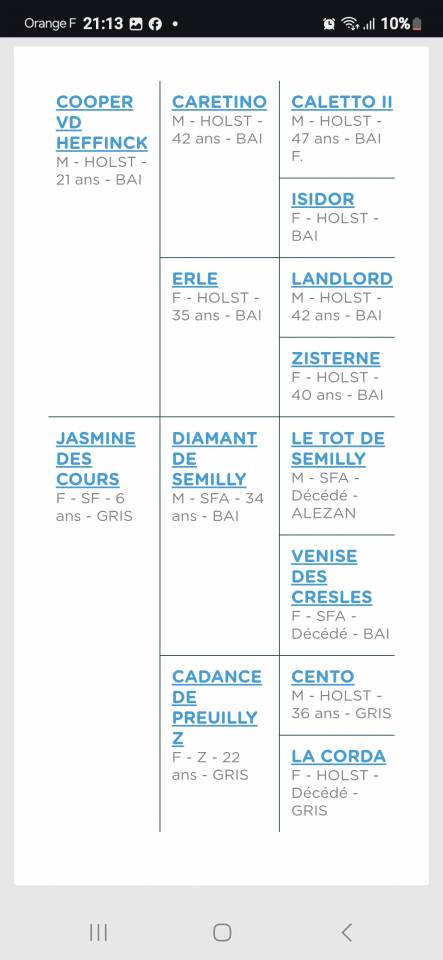 Mare Selle Français For sale 2024 Bay