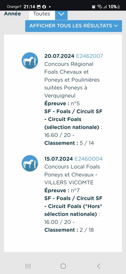 Mare Selle Français For sale 2024 Bay