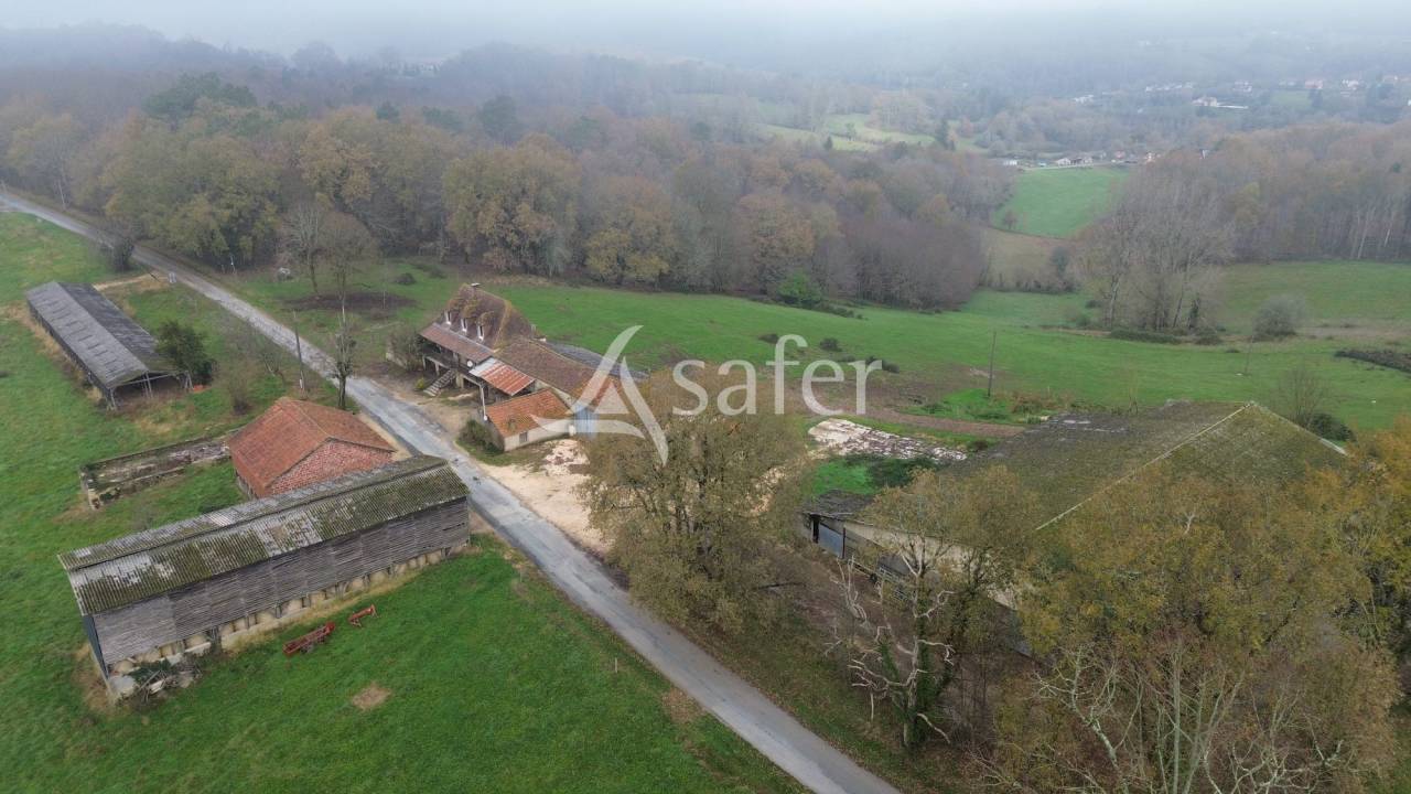 Sheep farm  Dordogne