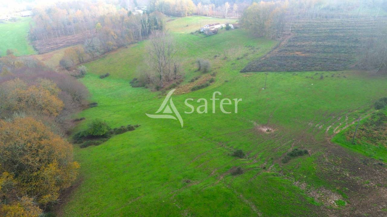 Sheep farm  Dordogne