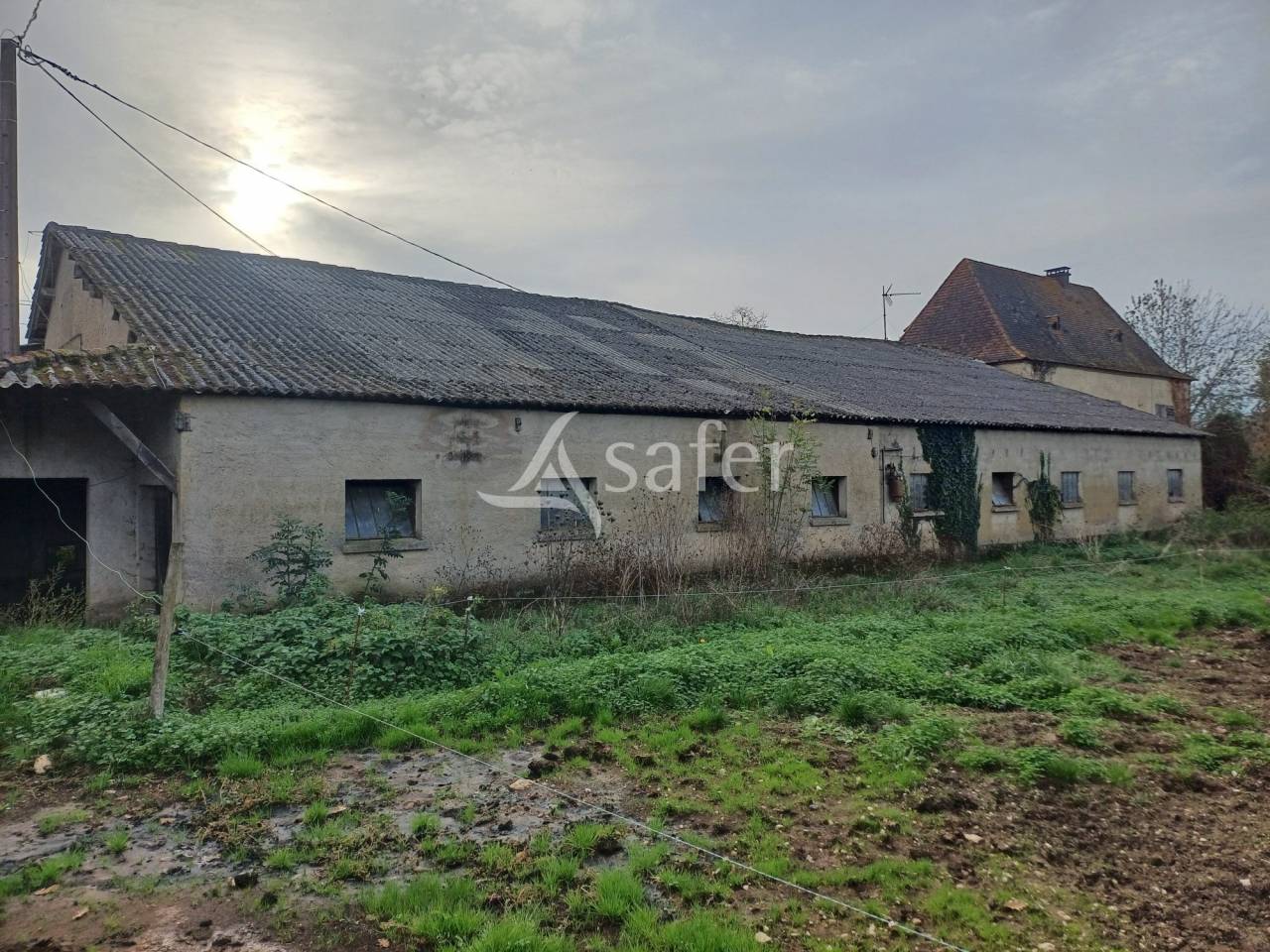 Sheep farm  Dordogne