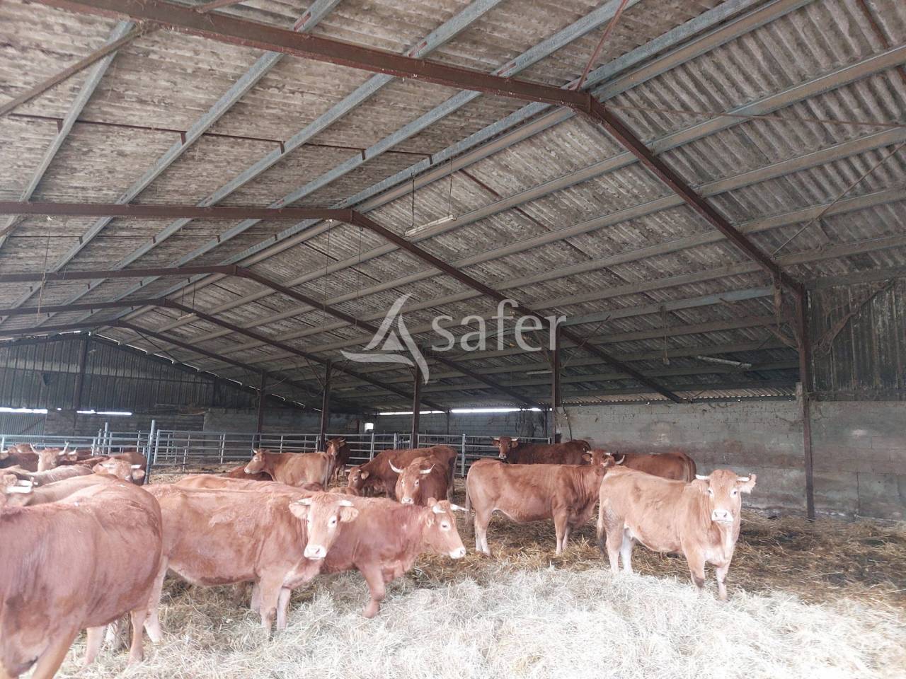 Sheep farm  Dordogne