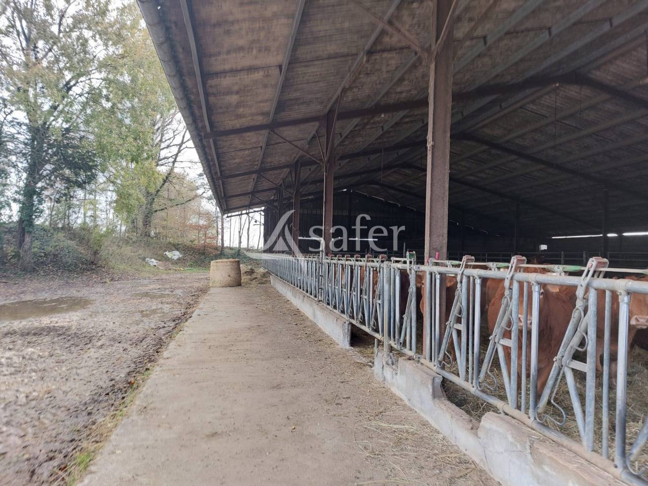 Sheep farm  Dordogne