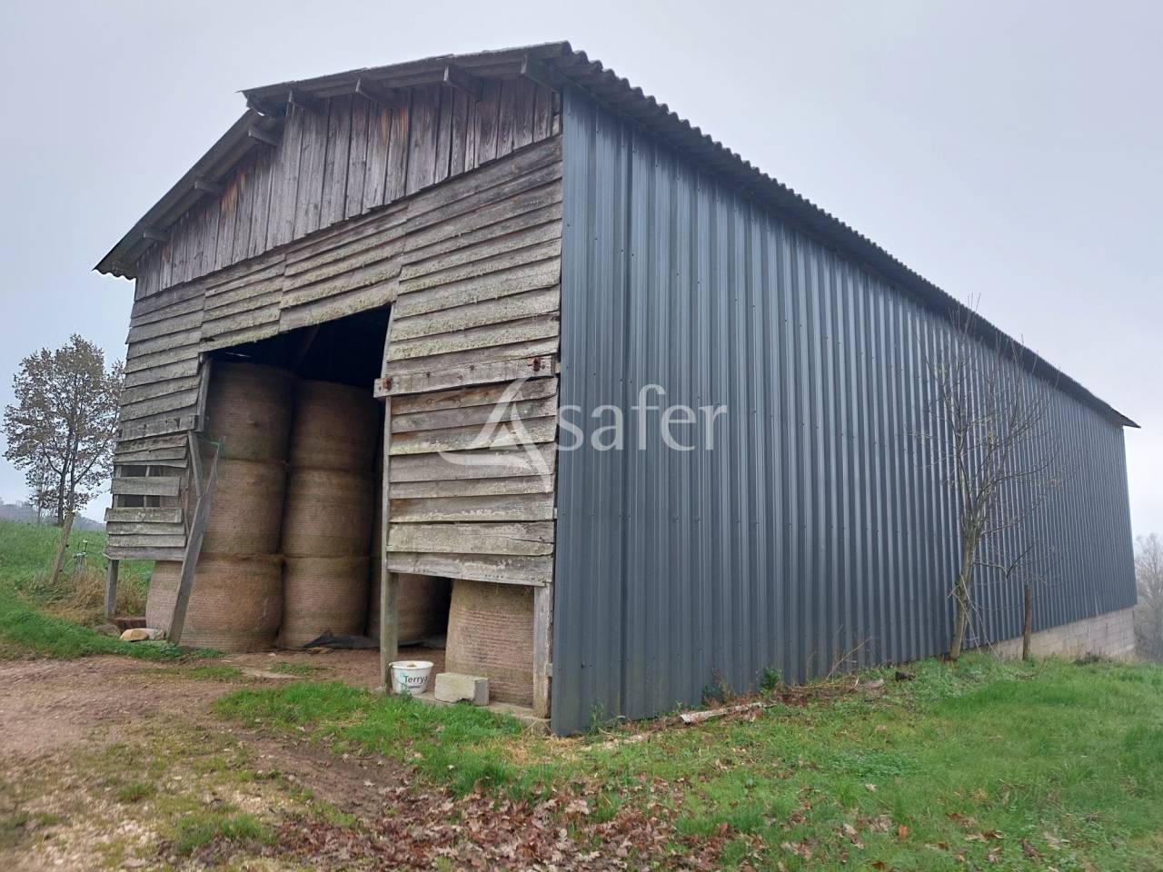 Sheep farm  Dordogne