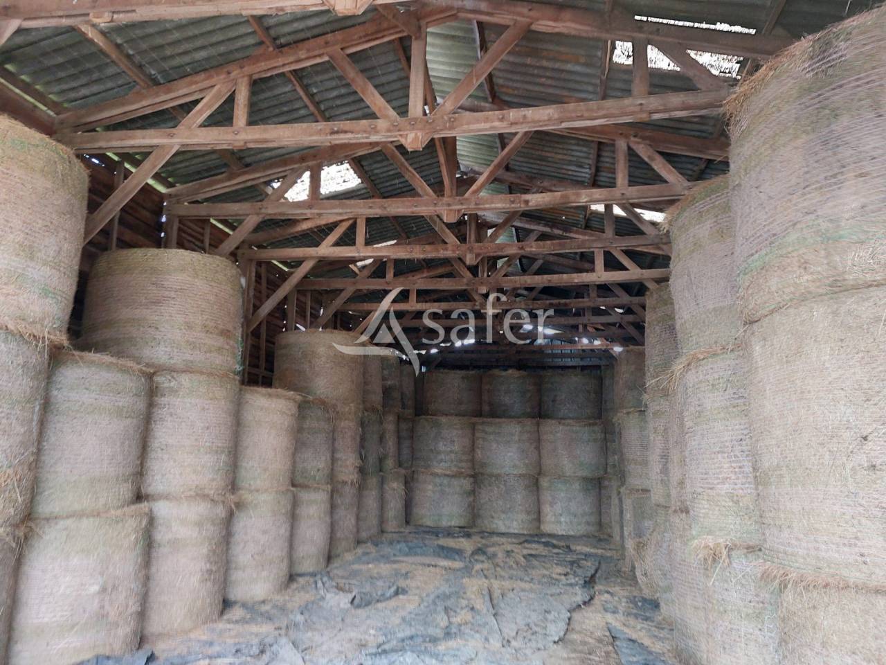 Sheep farm  Dordogne