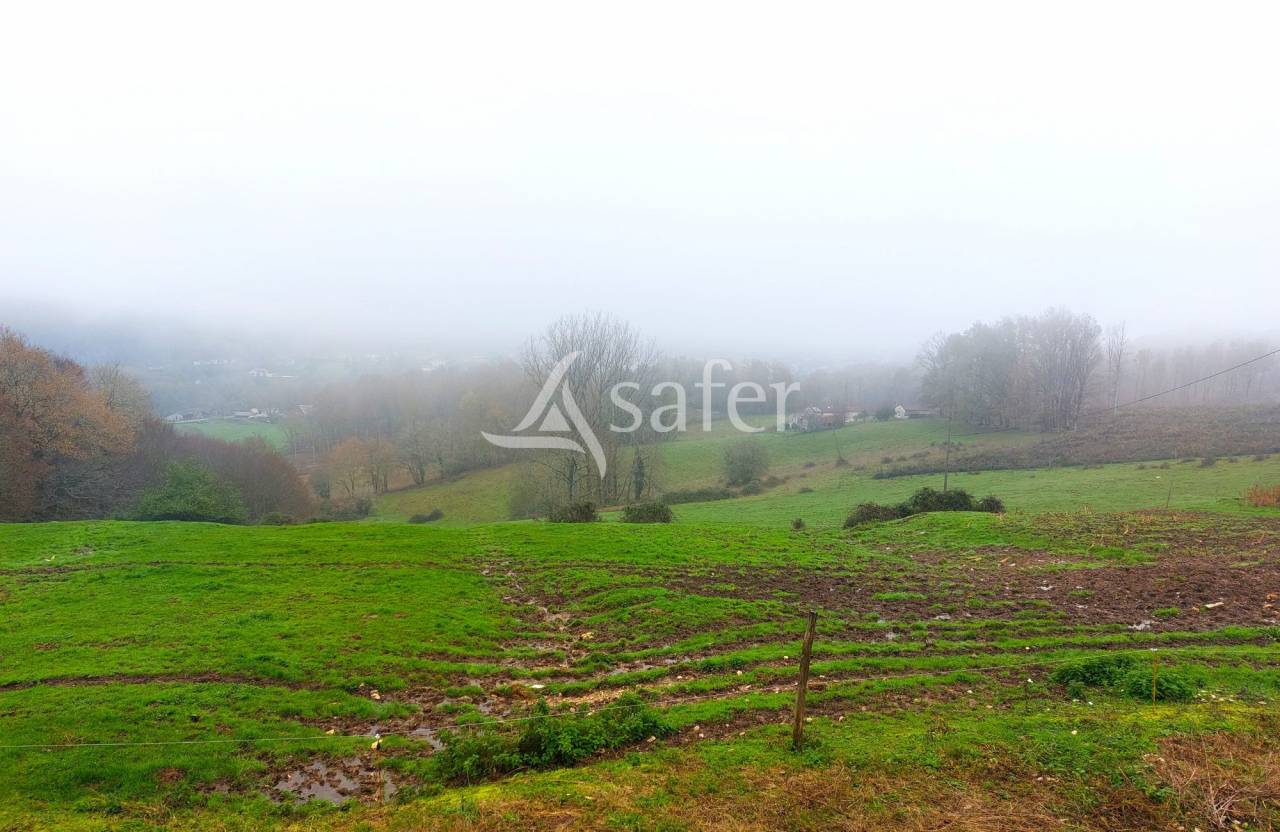 Sheep farm  Dordogne