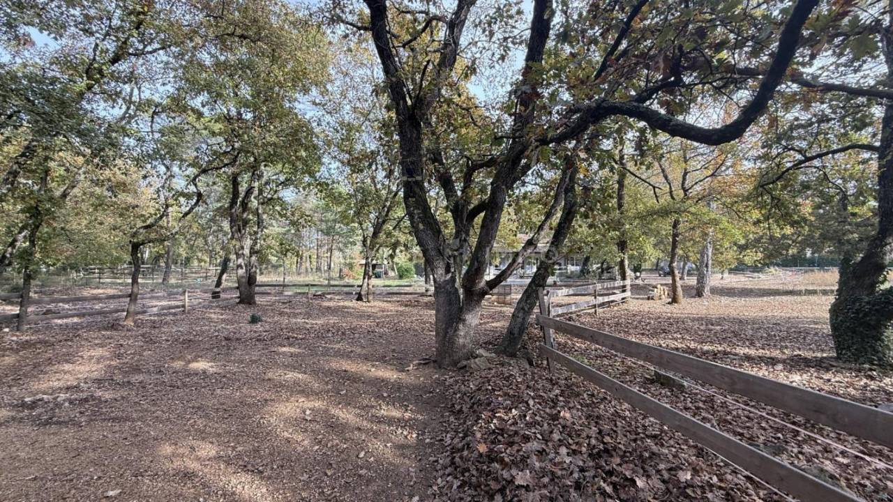 Equestrian property  Var