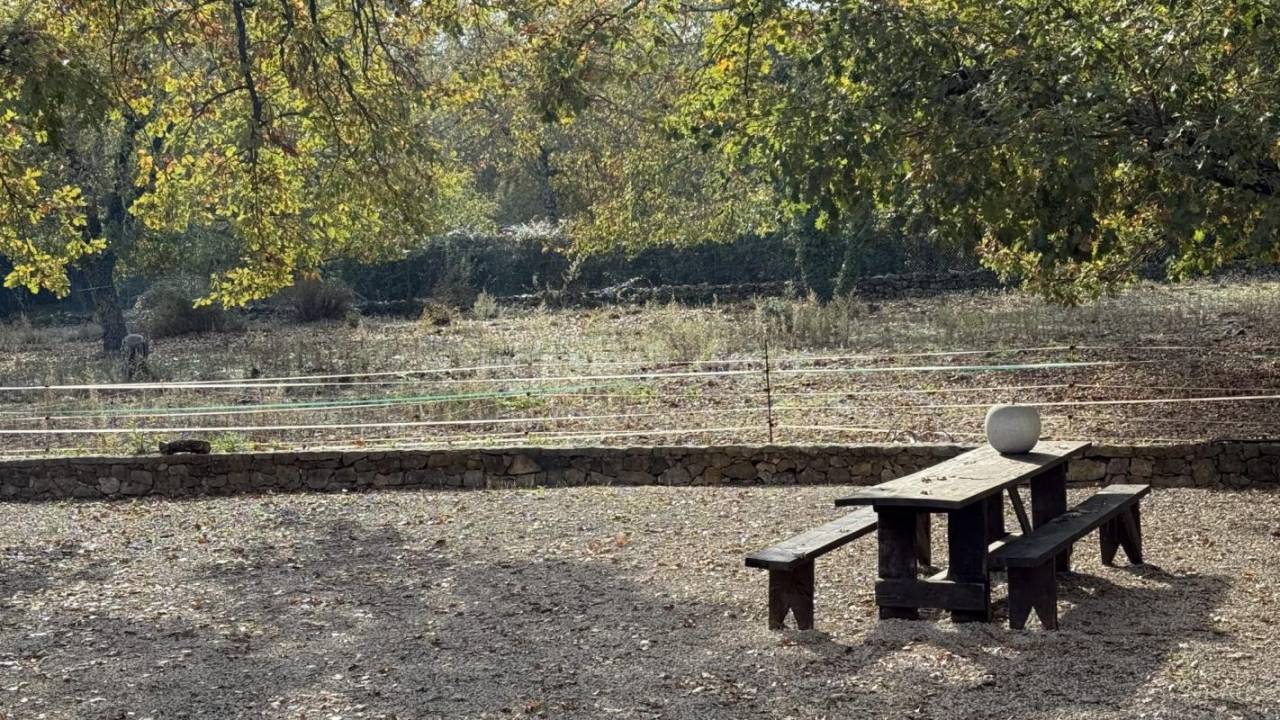 Equestrian property  Var