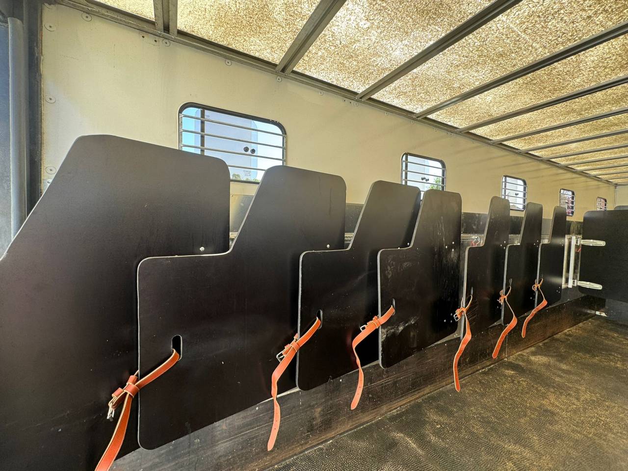 Horsebox NON-HGV Daf  2011 Used