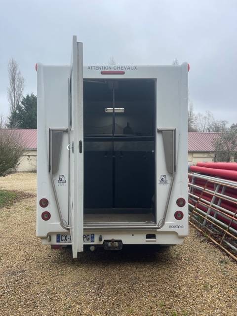 Horsebox HGV Theault  2013 Used