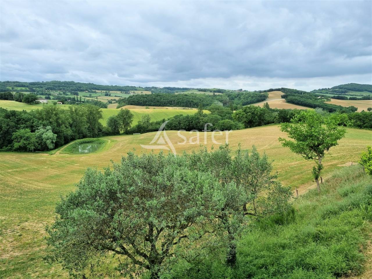 Other country property  tarn