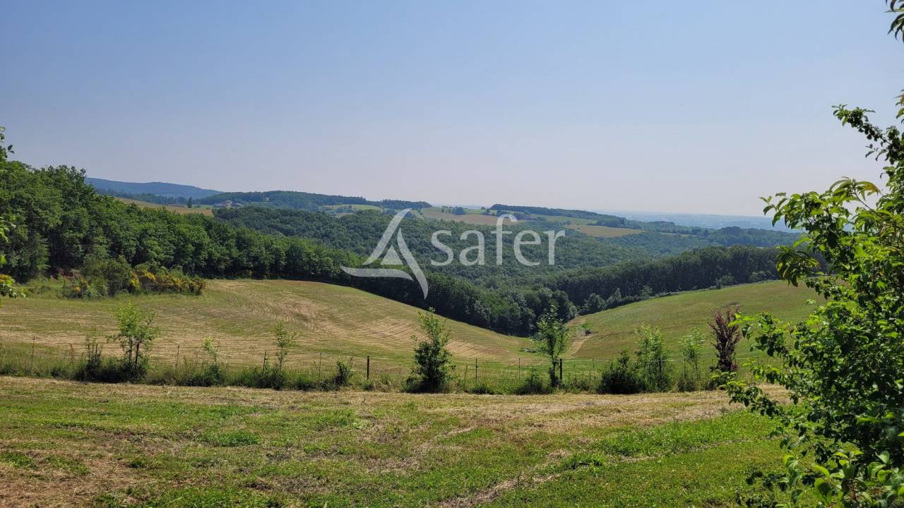 Other country property  tarn